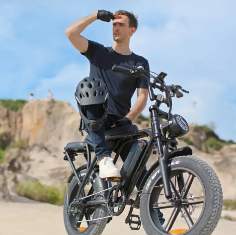 V8 Electric Mountain Bike — 500W • 48V Removable Battery • 19 mph
