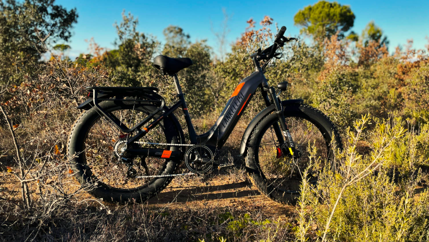 LANKELEISI MG600PLUS 2000W Dual Motor Step-Thru Electric Bike